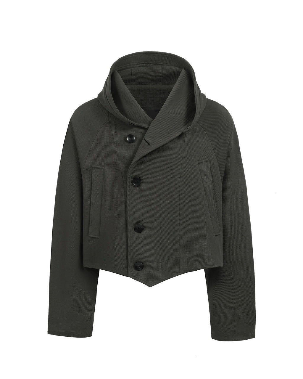 Multi-Form Hooded Jacket